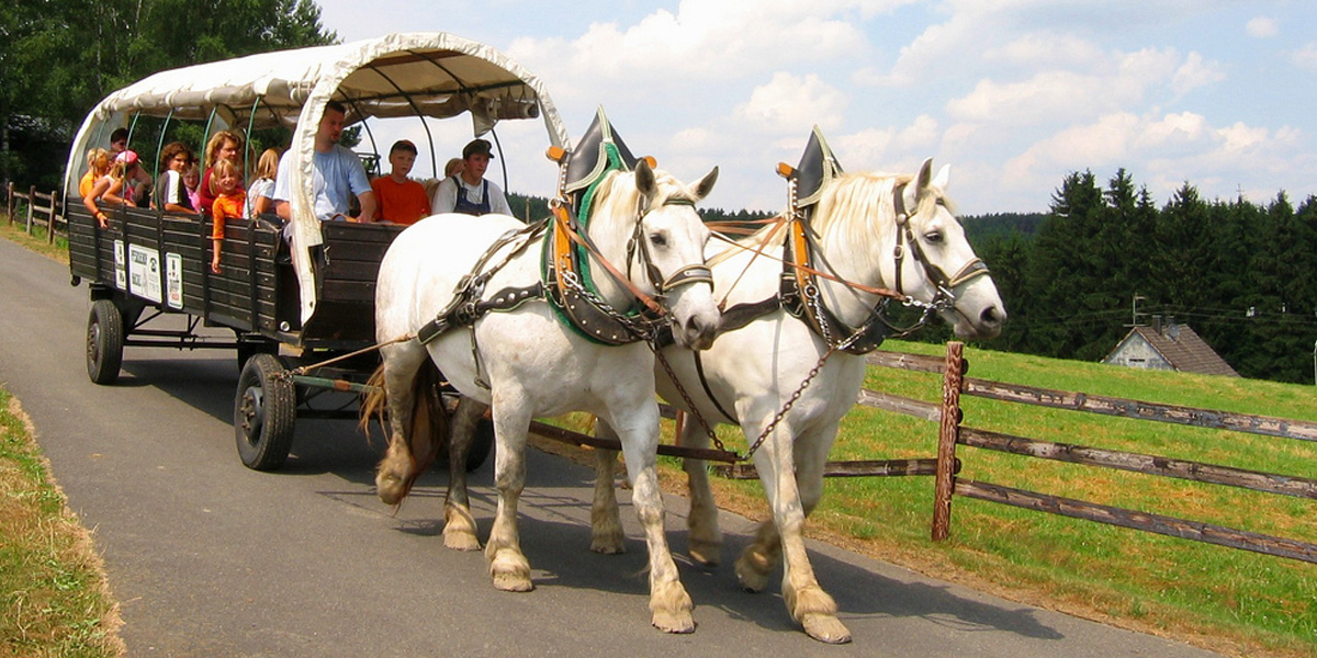 Planwagenfahrt im Bierenbacher Hof