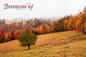 Vorschaubild Herbst - Erholungstage "Indian Summer im Oberbergischen Land"
